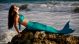 Supreme! Mermaid Adult Tail - The2Tails Miami Teal
